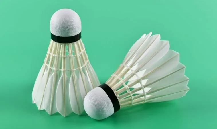 Cầu Lông tại ManClub